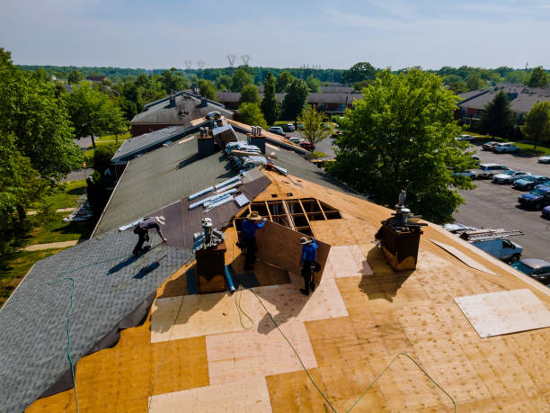 Best Flat Roof Repair Services  in Freeman, SD