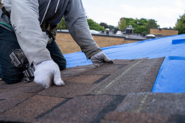 Best Shingle Roofing Installation  in Freeman, SD