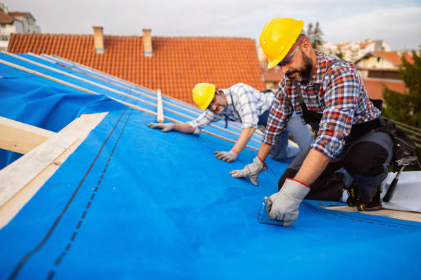 Best Roof Gutter Cleaning  in Freeman, SD